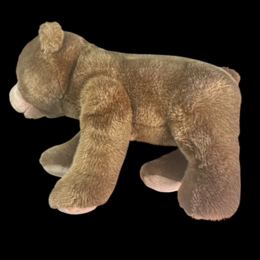 Eric Carle Kohls Cares Gray Elephant & Brown Brown 15